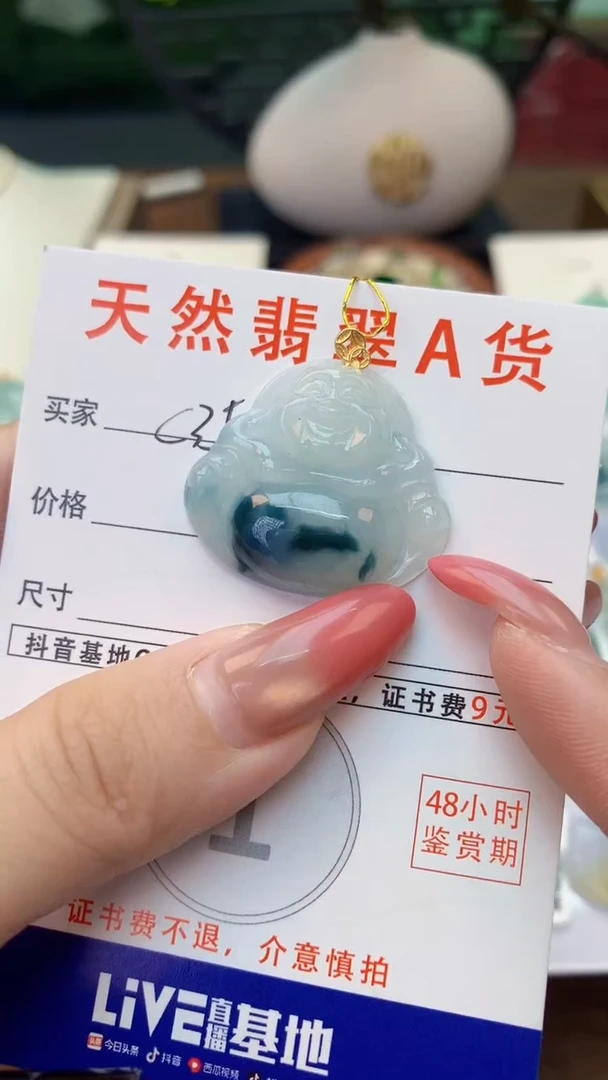 颈饰未镶嵌翡翠天然A货翡翠挂件
