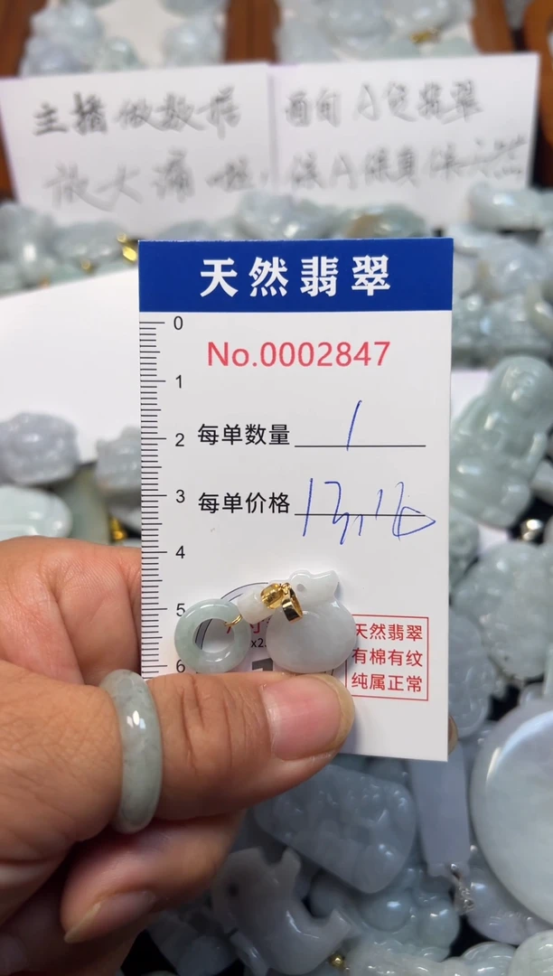 翡翠未镶嵌吊坠(不含链)2847