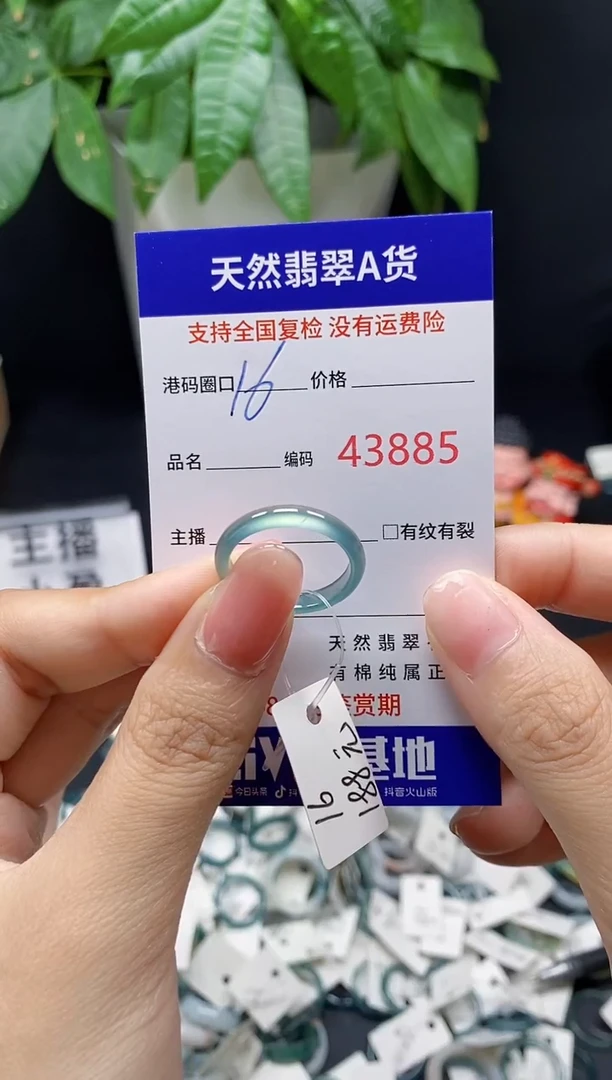 翡翠戒指未镶嵌天然翡翠戒圈3885