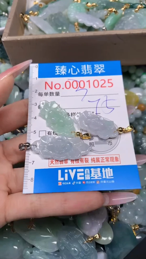 【闪购商品】翡翠颈饰未镶嵌含绳0001025