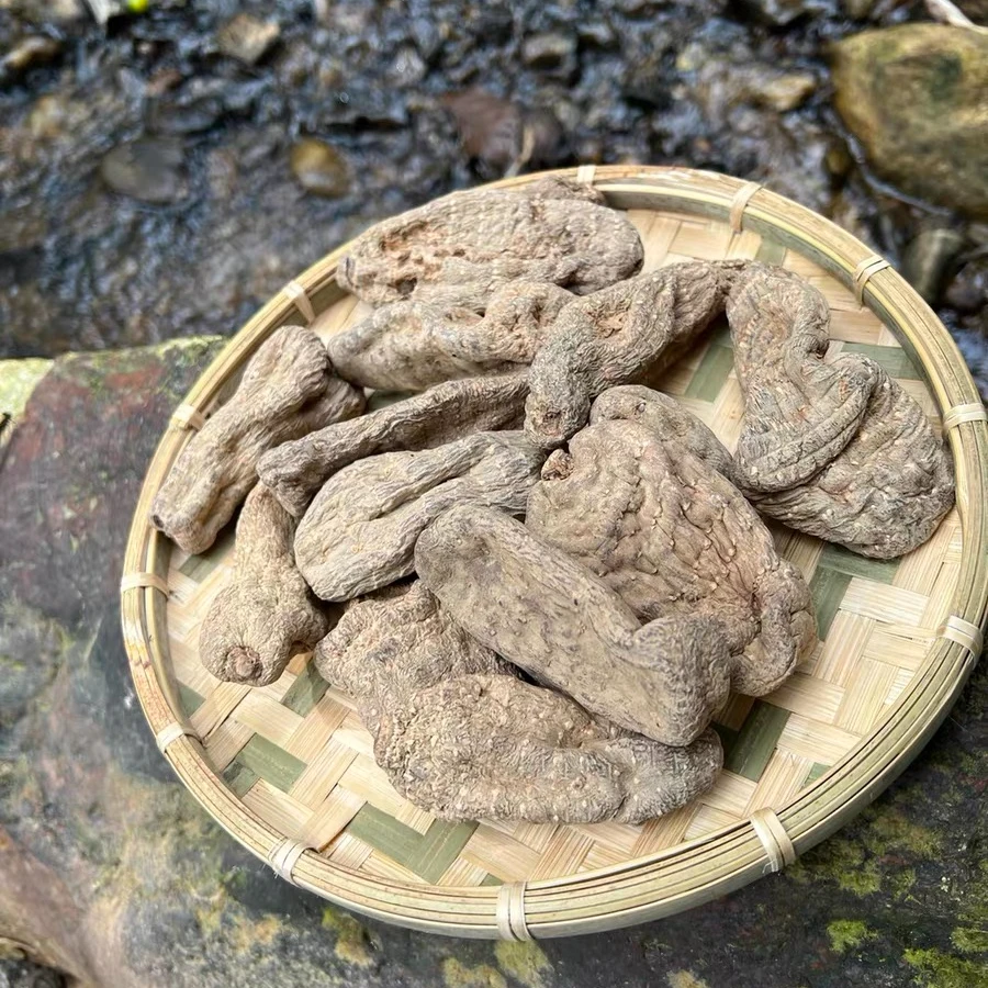 现收 云南高山天麻可搭配西洋参枸杞 大山好物 四川地方特产