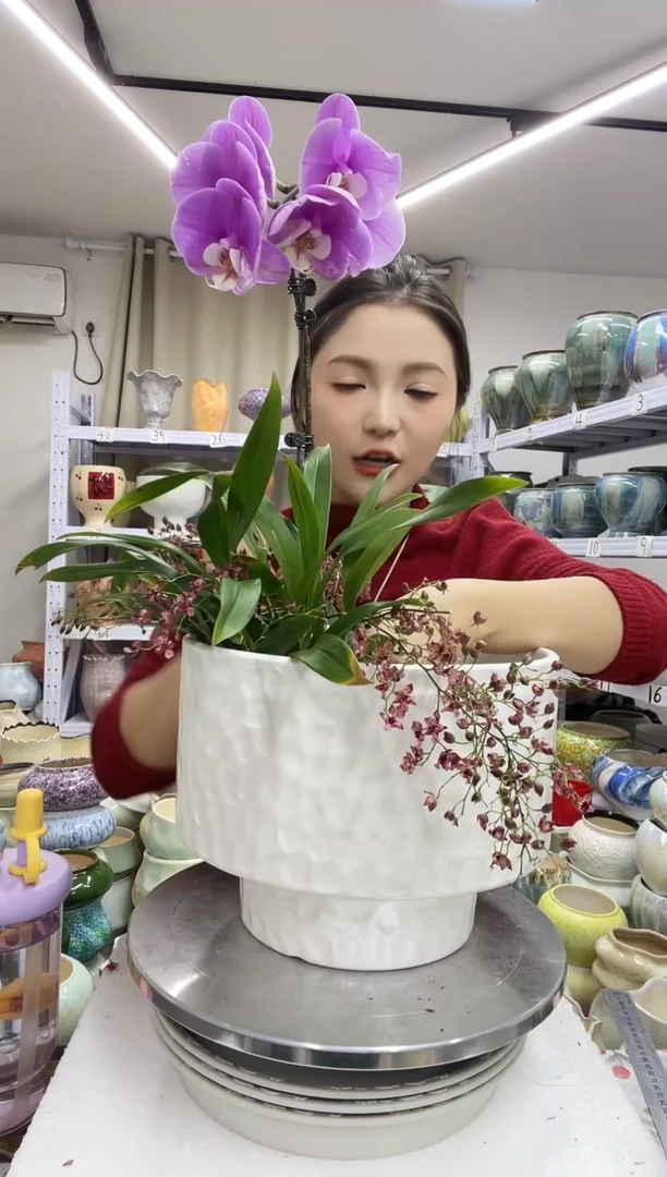 【1.4】花盆尺寸高：19 口：24.5