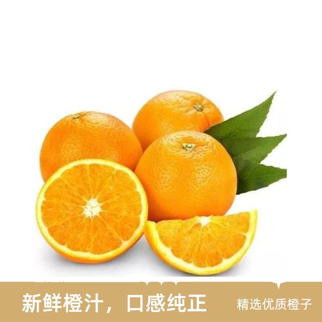 广西叶橙/斤