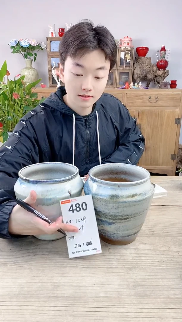 晴好园艺直播编号480