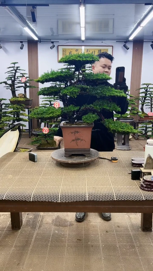 【闪购商品】000000000
