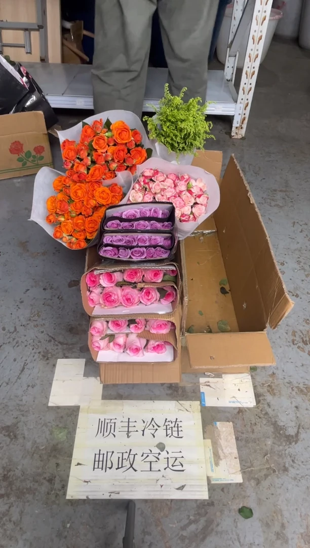 洛神20枝+紫霞20枝+折射1扎+橙色芭比2扎+黄莺