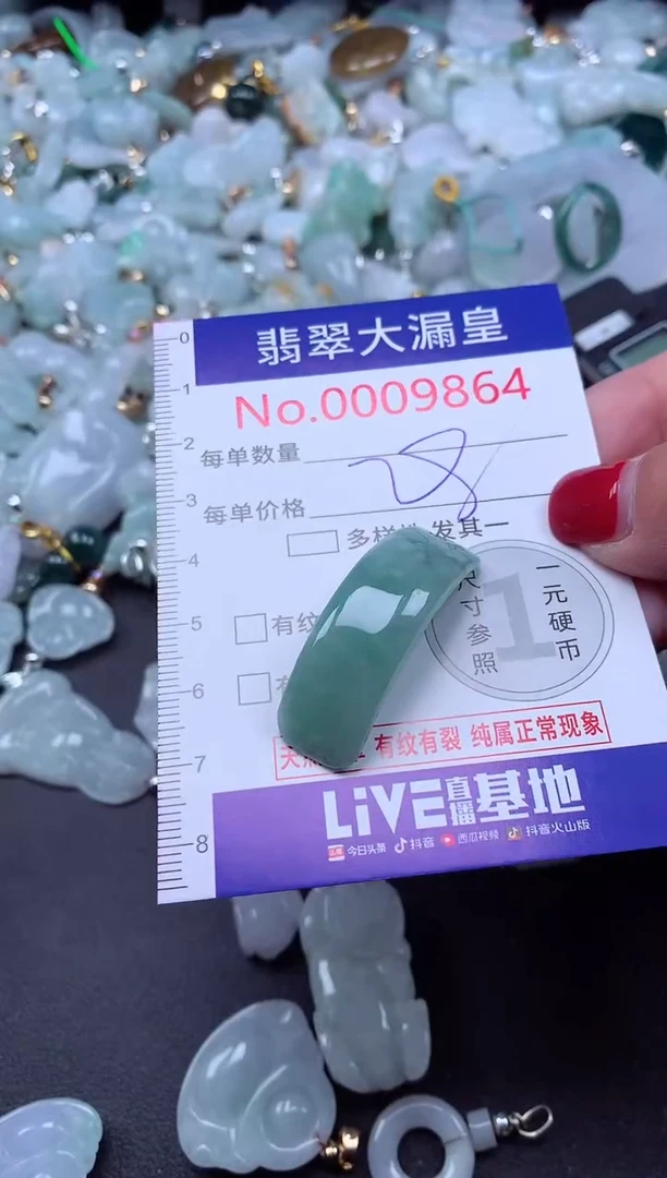 颈饰未镶嵌翡翠9864