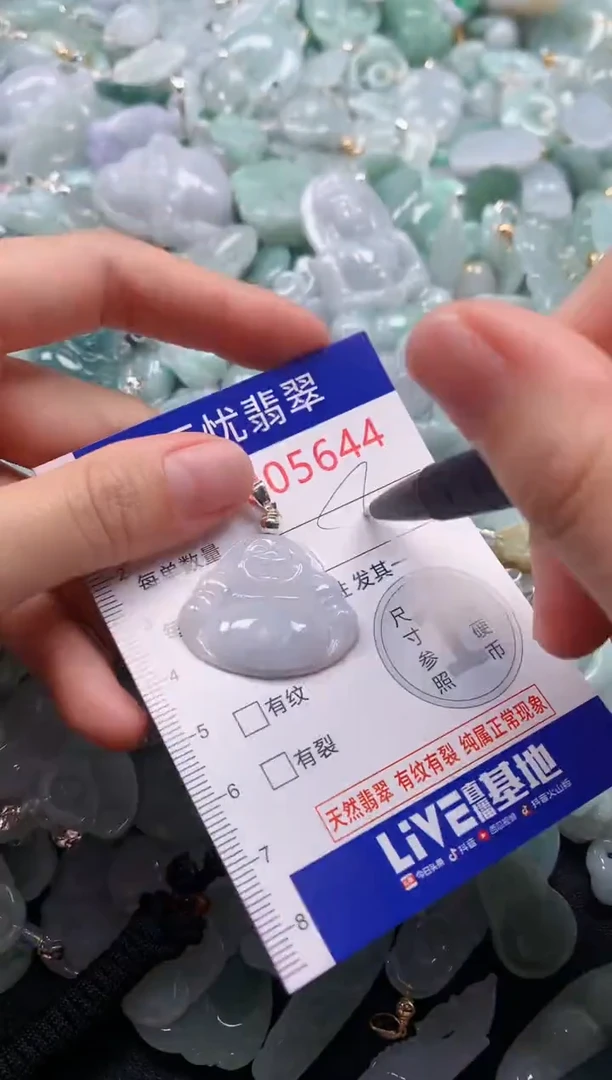颈饰未镶嵌翡翠5644