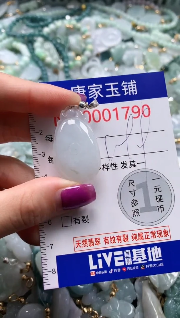 颈饰未镶嵌翡翠1790