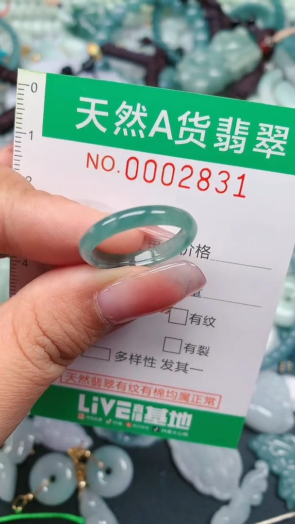 颈饰未镶嵌翡翠.0002831