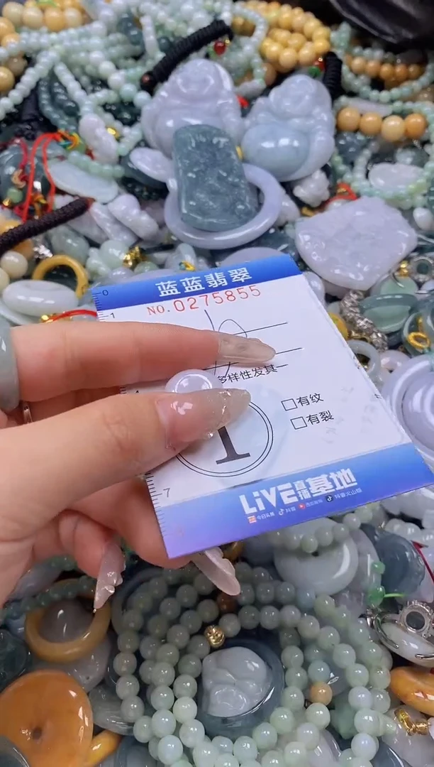 翡翠未镶嵌颈饰闪购0275855多样性发其一