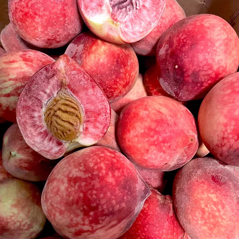 [微瑕】山东新鲜朱砂桃血桃净重4.5斤微瑕福利款