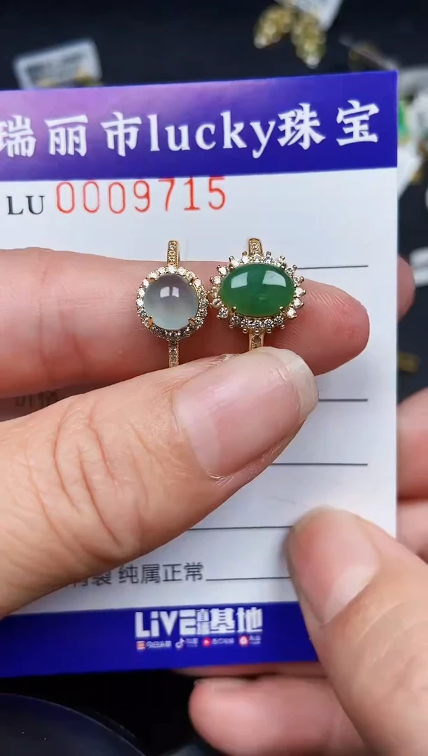 翡翠银S925镶嵌颈饰9715