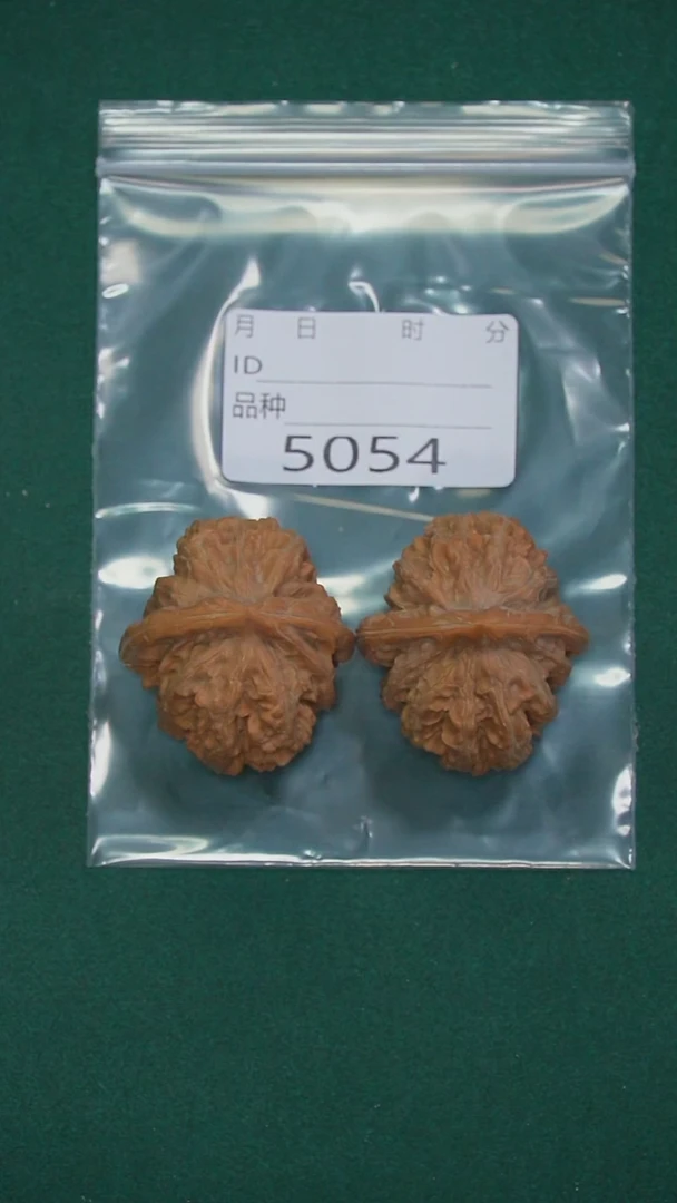 把件文玩核桃查**人38三羊谷