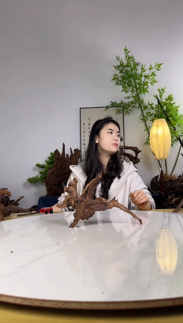 小***睡拍沉木定向链接编号81