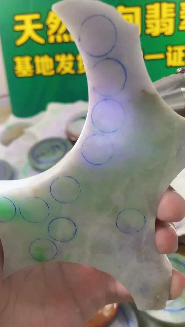 翡翠未镶嵌颈饰裸石027