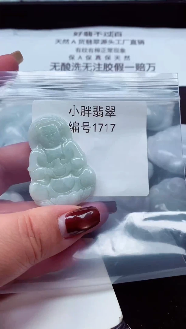 颈饰未镶嵌翡翠缅甸天然A货翡翠1717