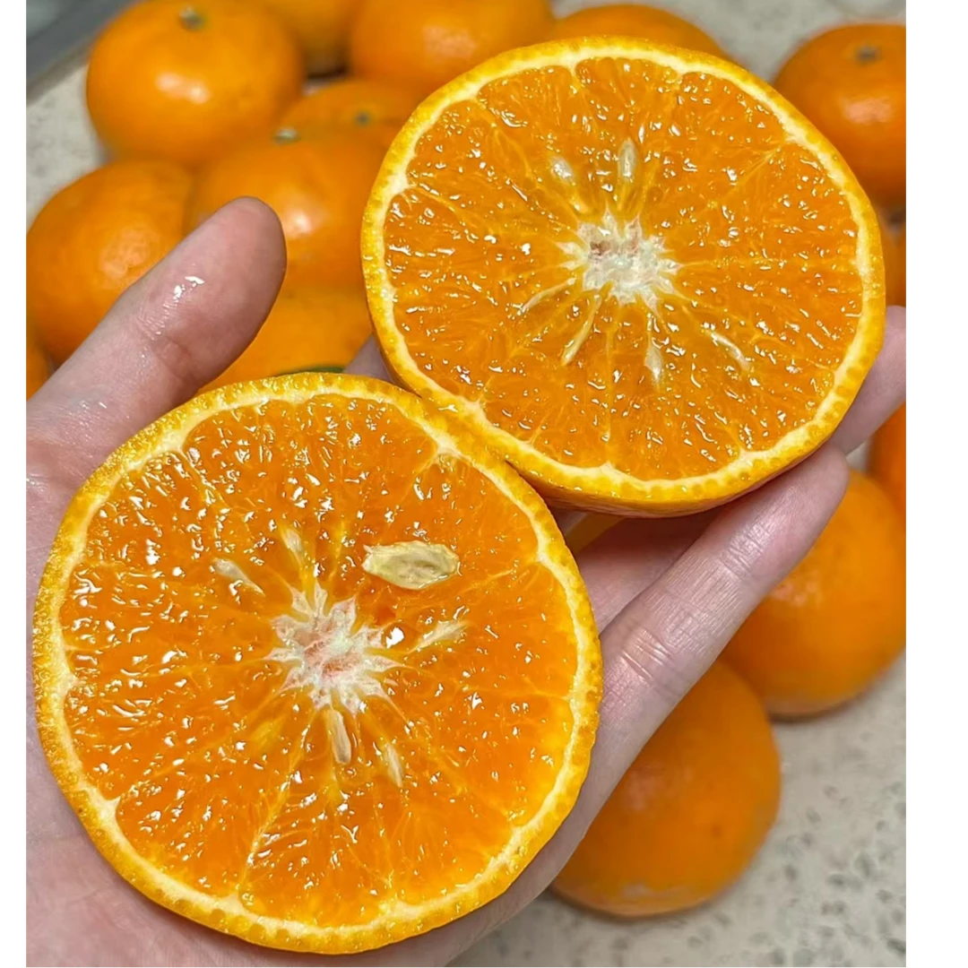 广西沃柑3斤/份