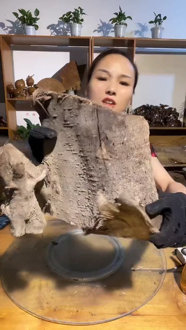 金丝楠阿祥金丝楠闪购链接