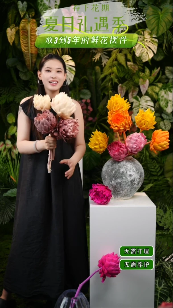 永生花洋蓟2枝热可可色2枝曼塔色27