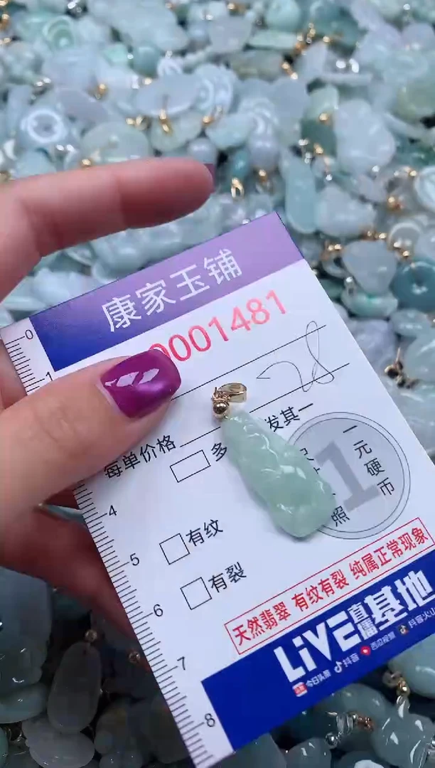 颈饰未镶嵌翡翠1481