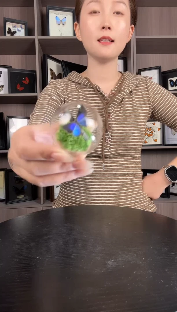 实木竖款雅灰蝶（蝴蝶玻璃球框）