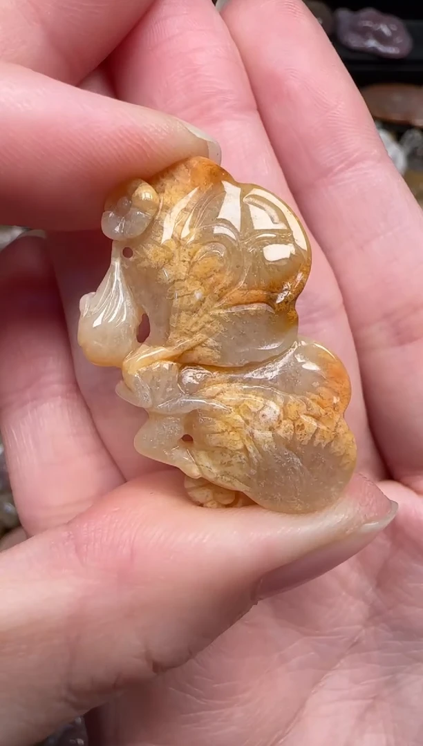 颈饰未镶嵌硅化珊瑚（珊瑚玉）762