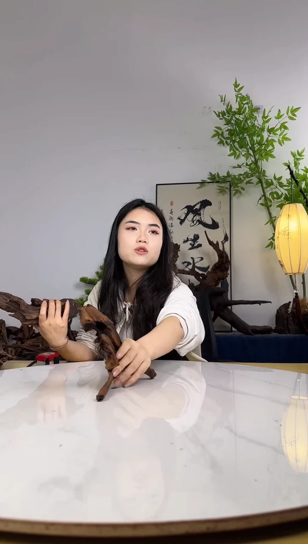 淇**贝拍沉木定向链接编号85