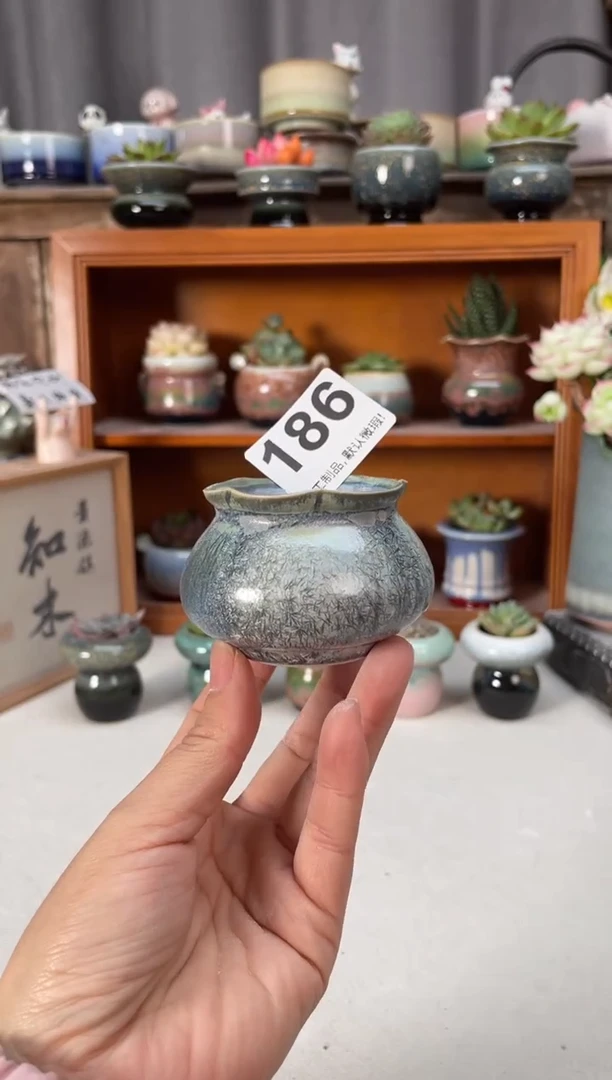 瓷片186知木小芳花盆