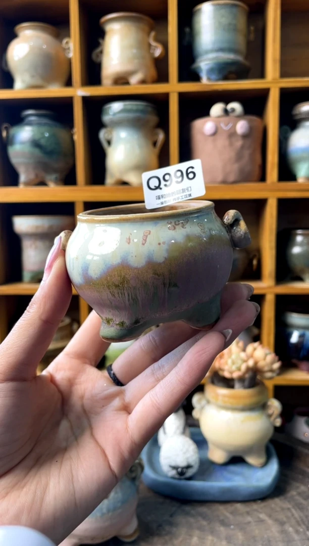 996内口5【多肉花盆多肉盆】