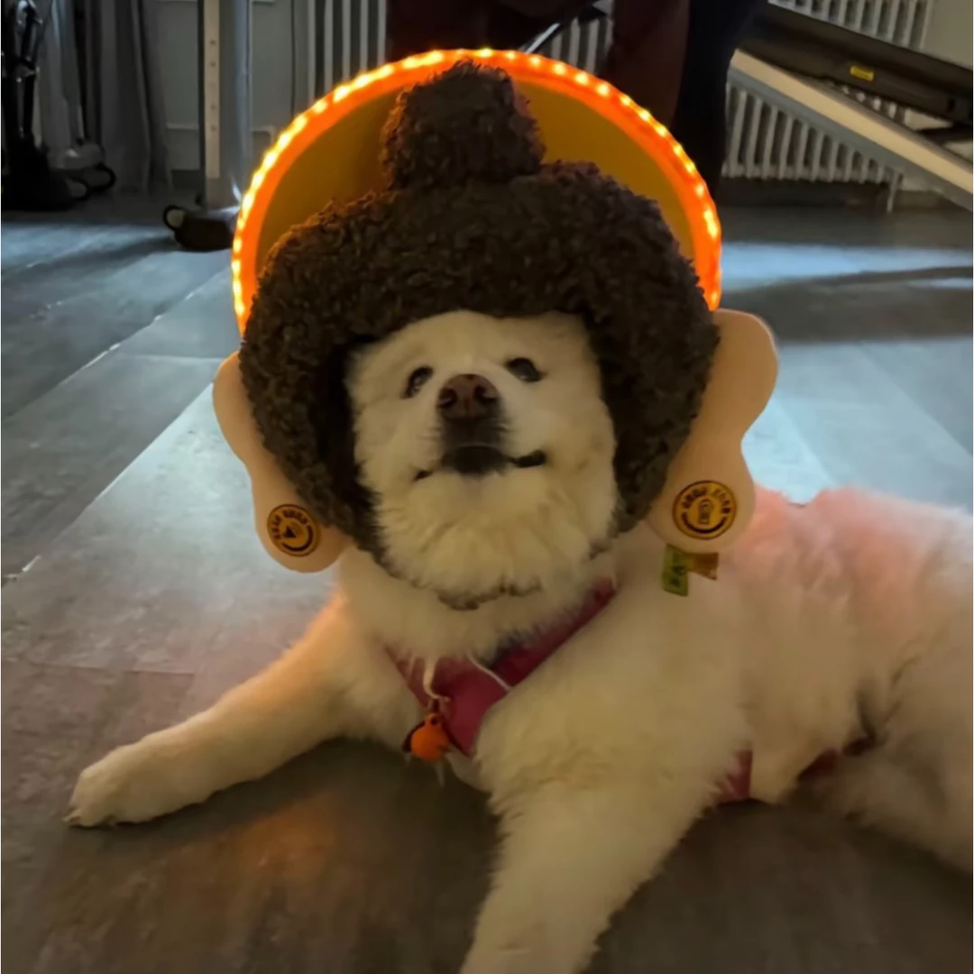 大同文创佛头帽子玩偶毛绒玩具云冈石窟佛祖造型佛光普照亮灯礼物