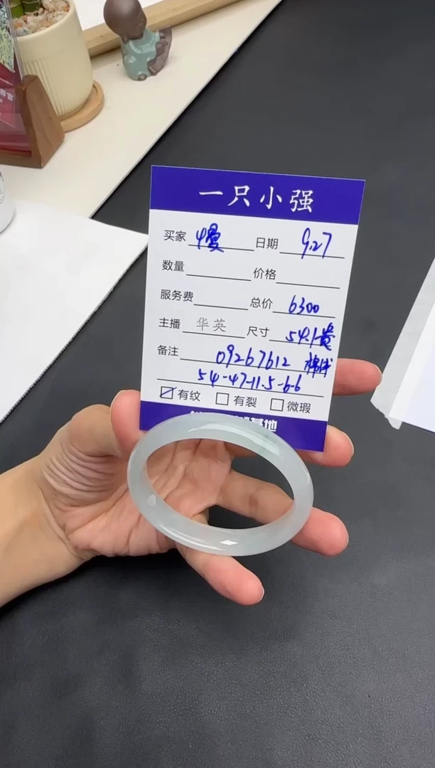 未镶嵌手镯翡翠慢*白09267612