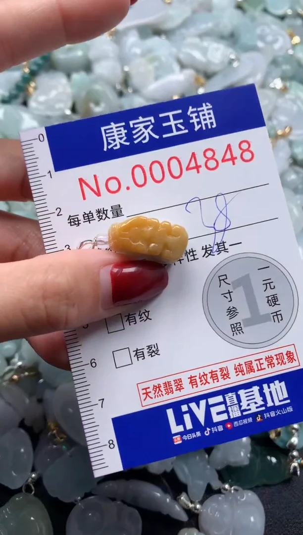 颈饰未镶嵌翡翠4848