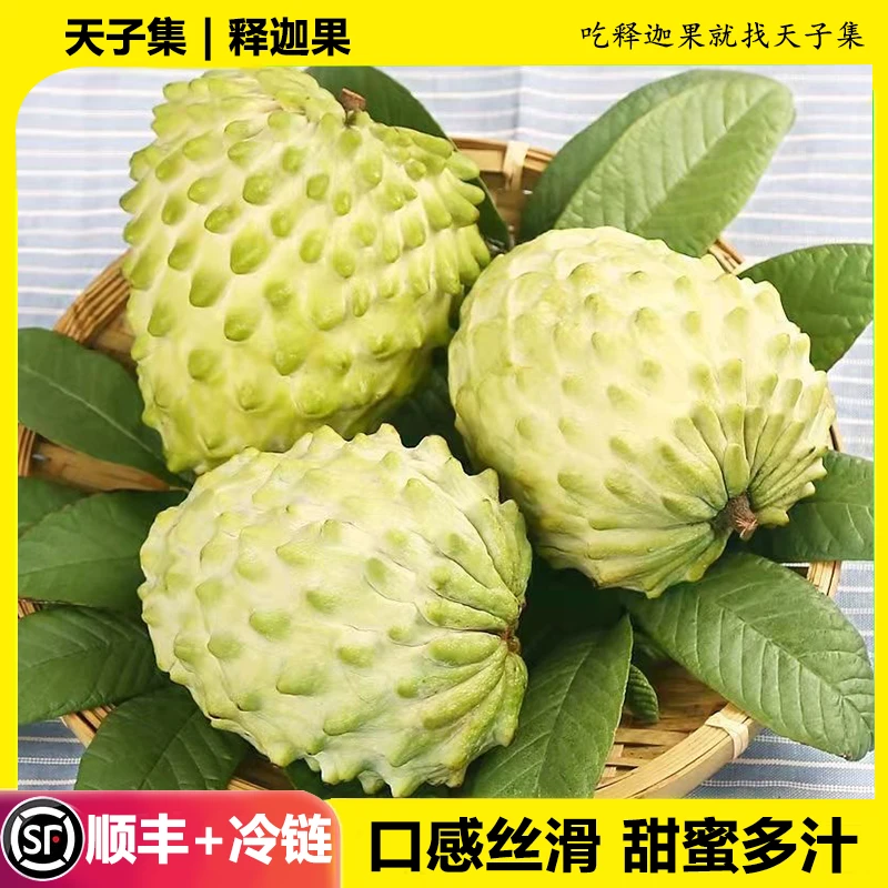 【买一箱送一箱】大果 天子集花蜜迦（单果半斤以上）Z