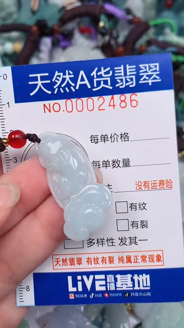 翡翠未镶嵌颈饰...0002486