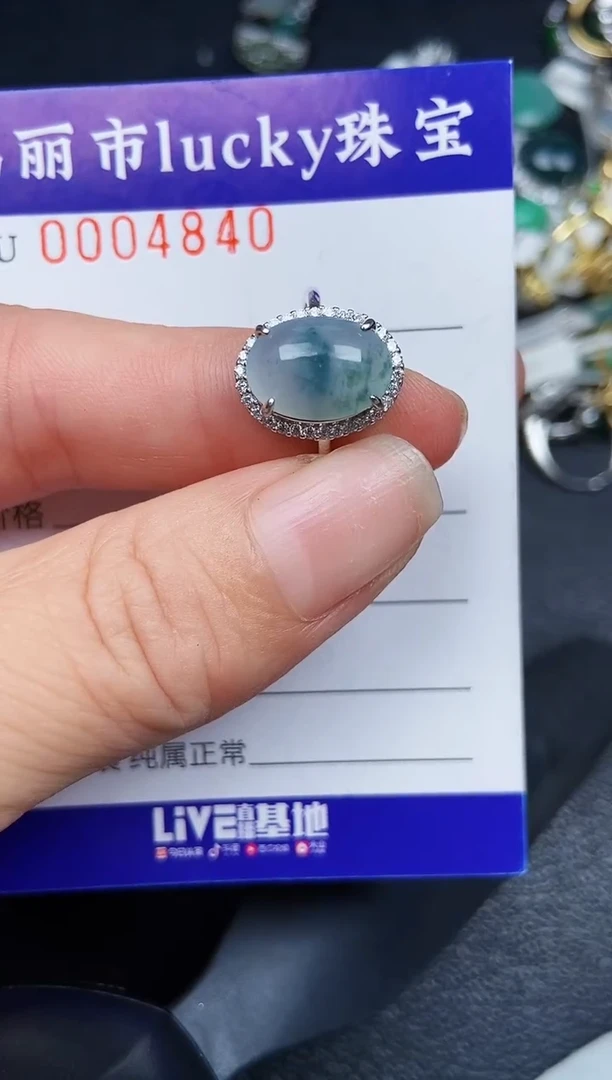 翡翠银S925镶嵌颈饰4840