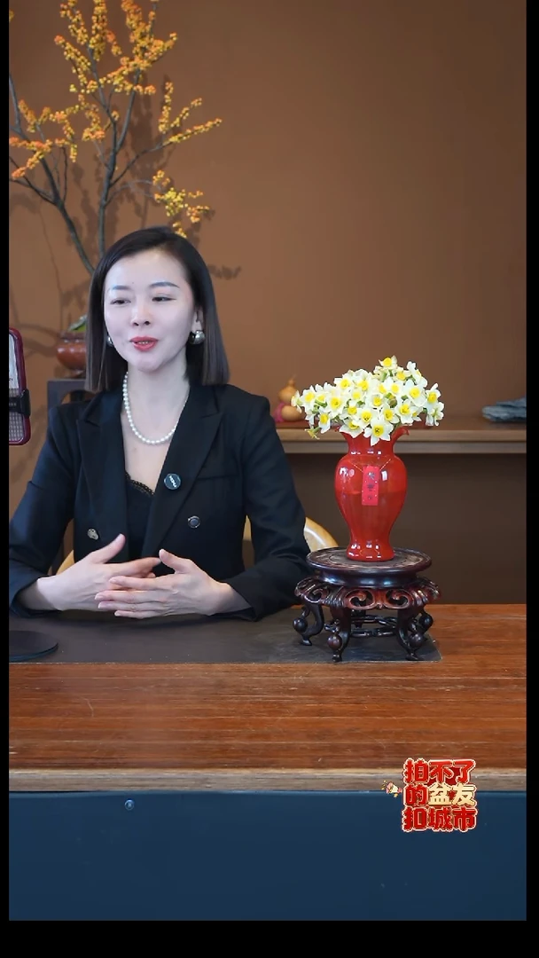 全部花朵水仙花盆景盆景