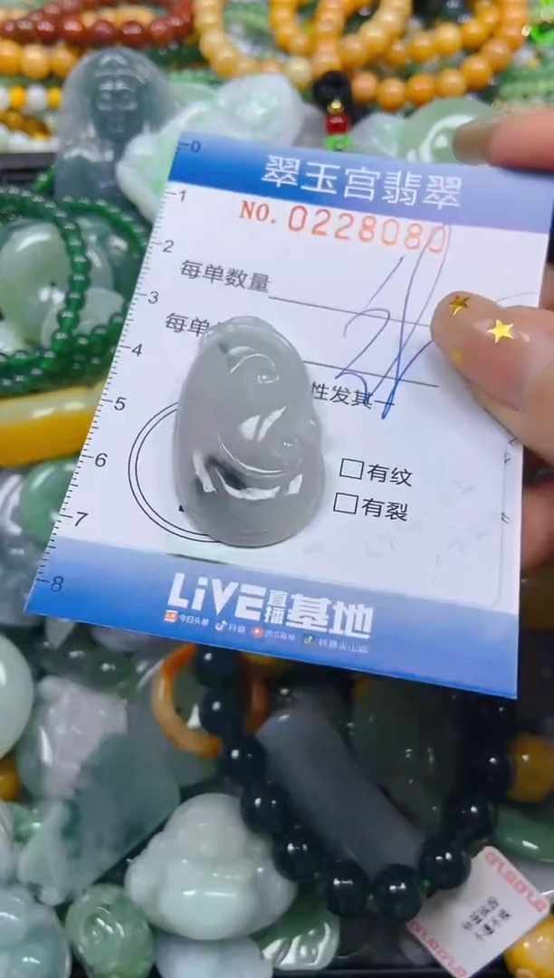 颈饰未镶嵌翡翠闪购C0228080