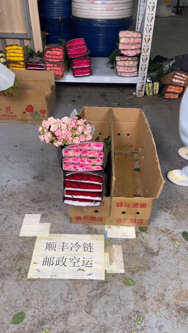 高原红20枝+洛神20枝+折射10枝