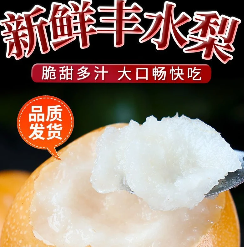 正宗山东冰糖丰水梨新鲜爆甜孕妇水果 沙土地梨正宗新鲜水果现摘