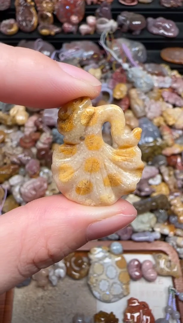 颈饰未镶嵌硅化珊瑚（珊瑚玉）109