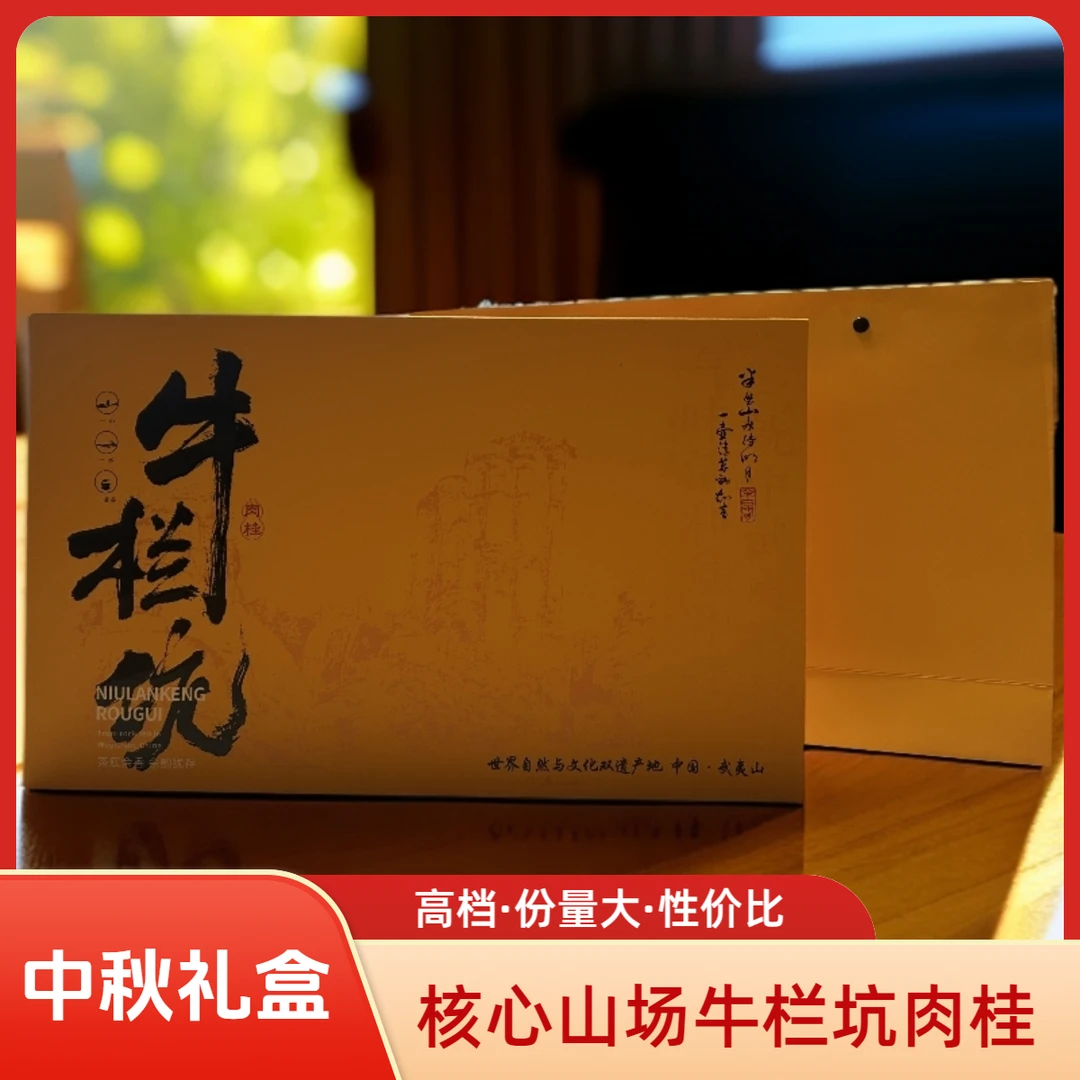 正岩牛栏坑肉桂礼盒茶叶半斤装坑涧肉桂中秋礼盒中火肉桂高端礼盒