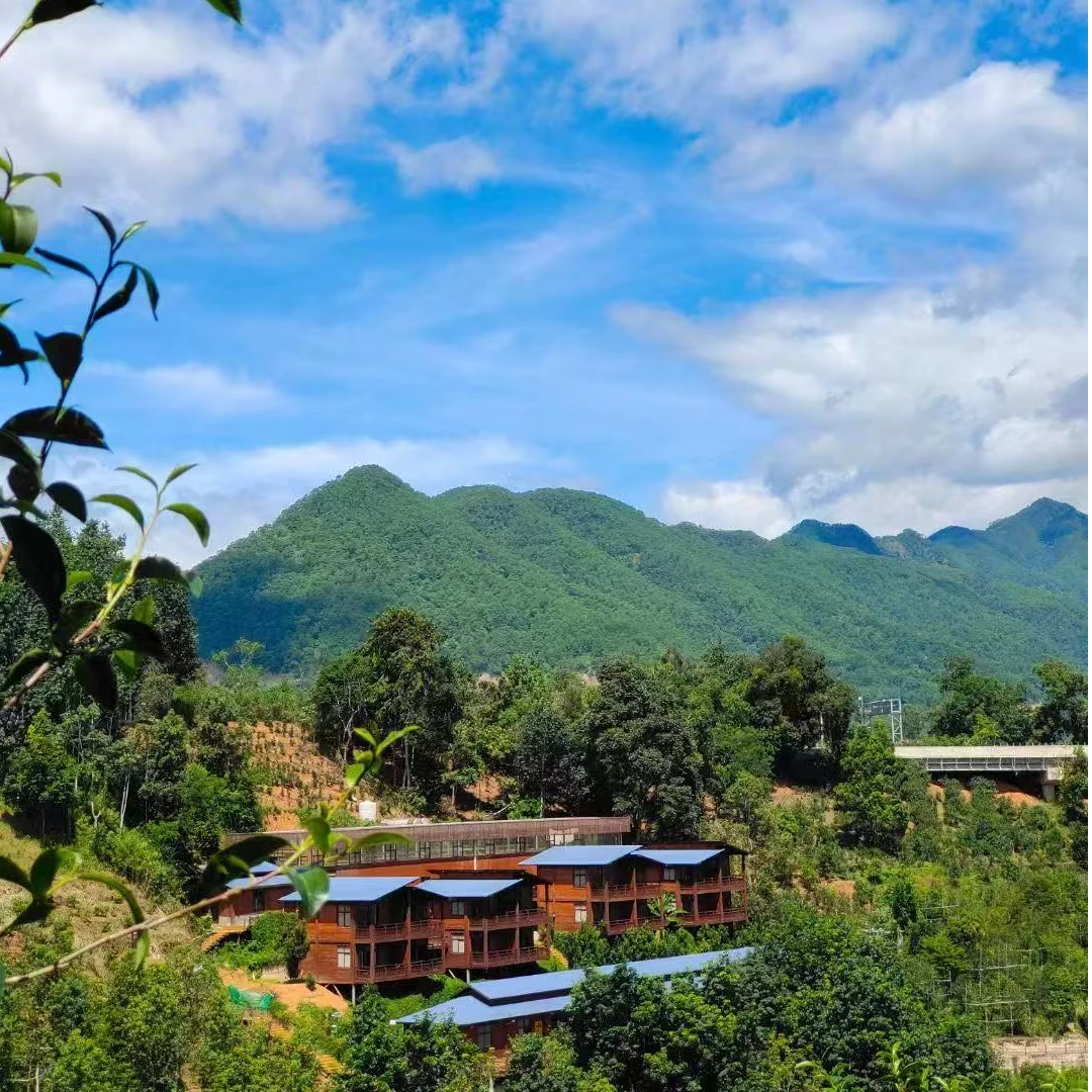 【端午节普洱茶大礼包】3