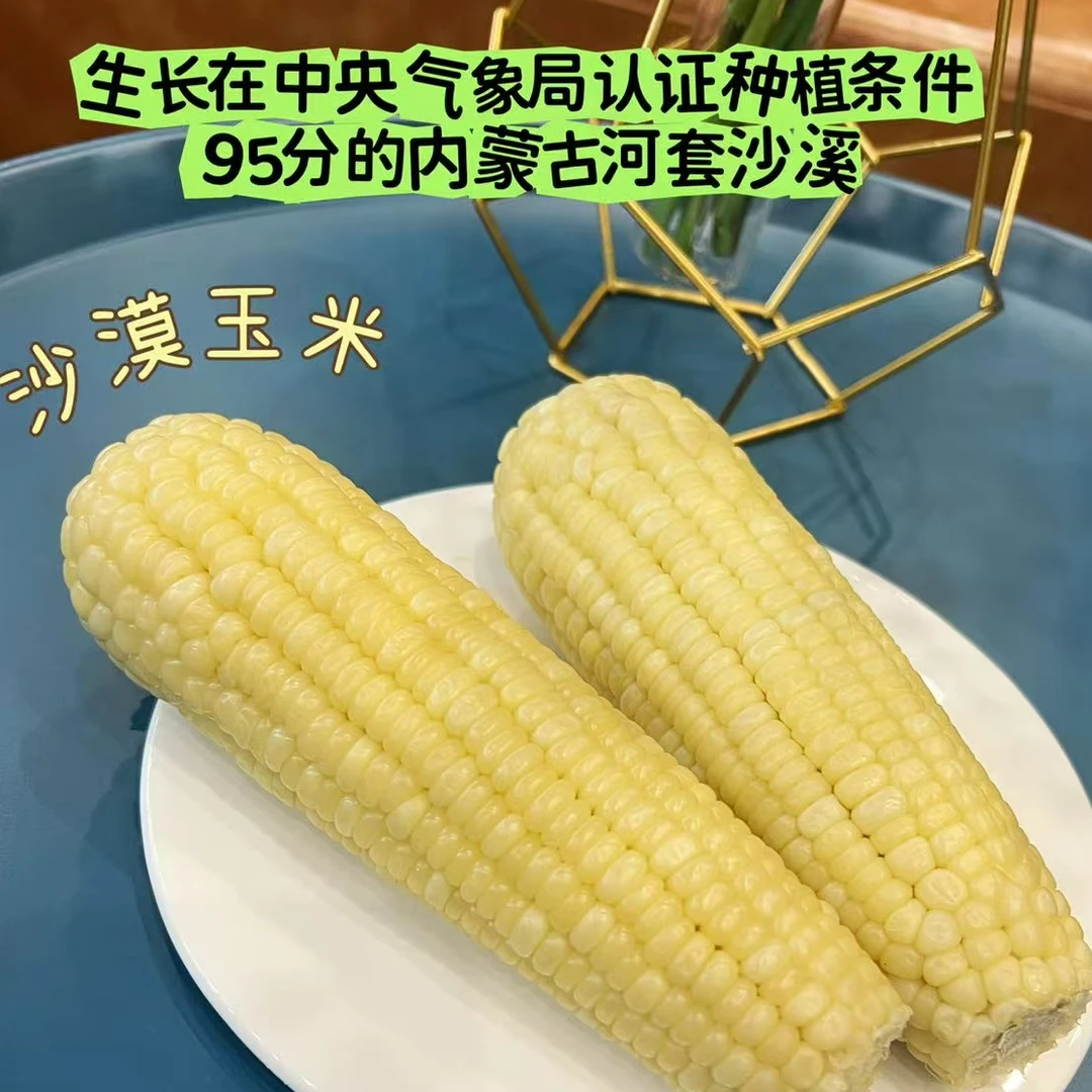 【蓝鲸小掌柜】沙域香内蒙甜嫩糯玉米冷冻玉米一箱10根单根260g