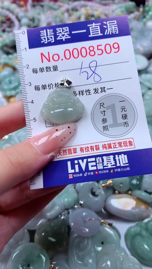 翡翠未镶嵌吊坠(不含链)8509
