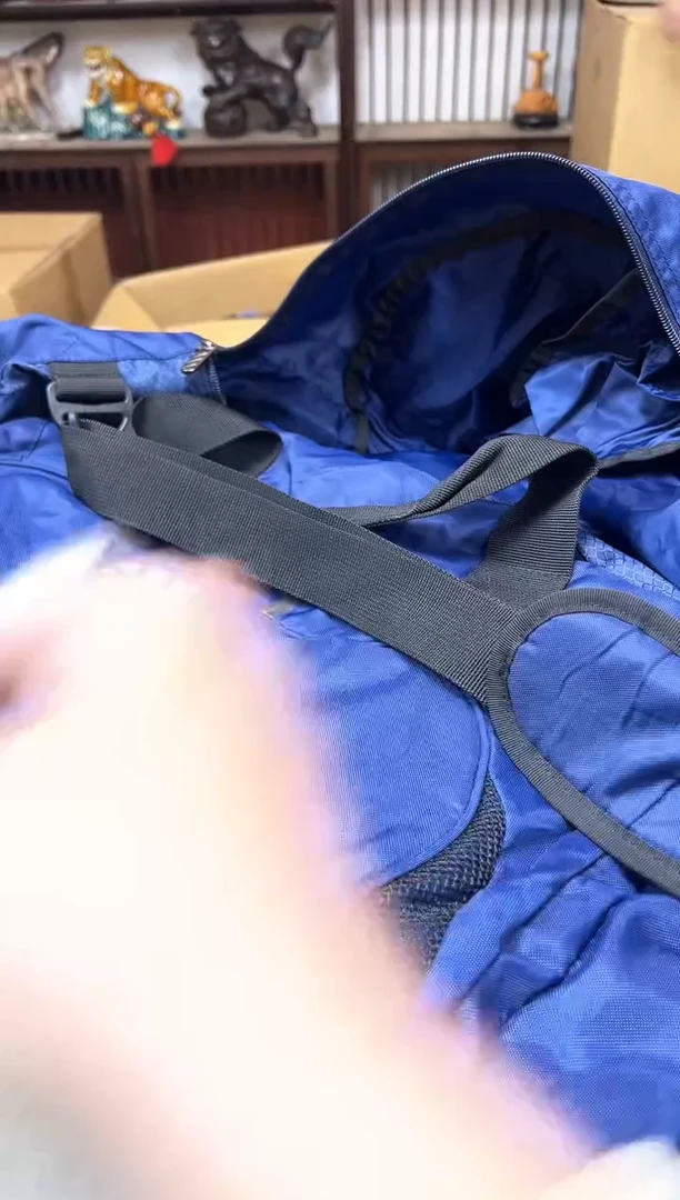瓷片1370聚宝缘海陶精选