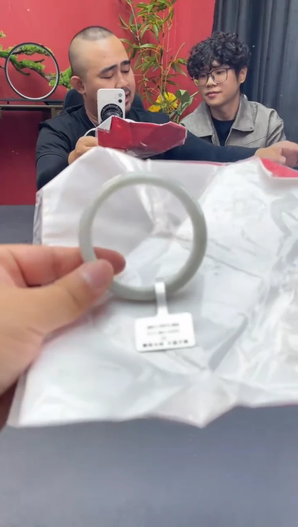 未镶嵌手镯翡翠5