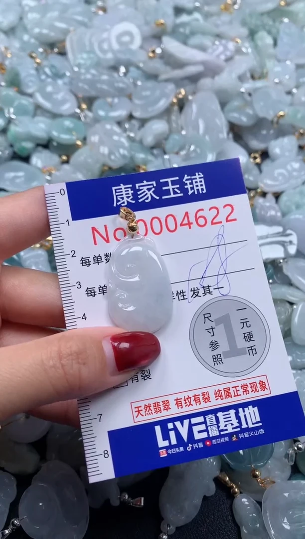 颈饰未镶嵌翡翠4622