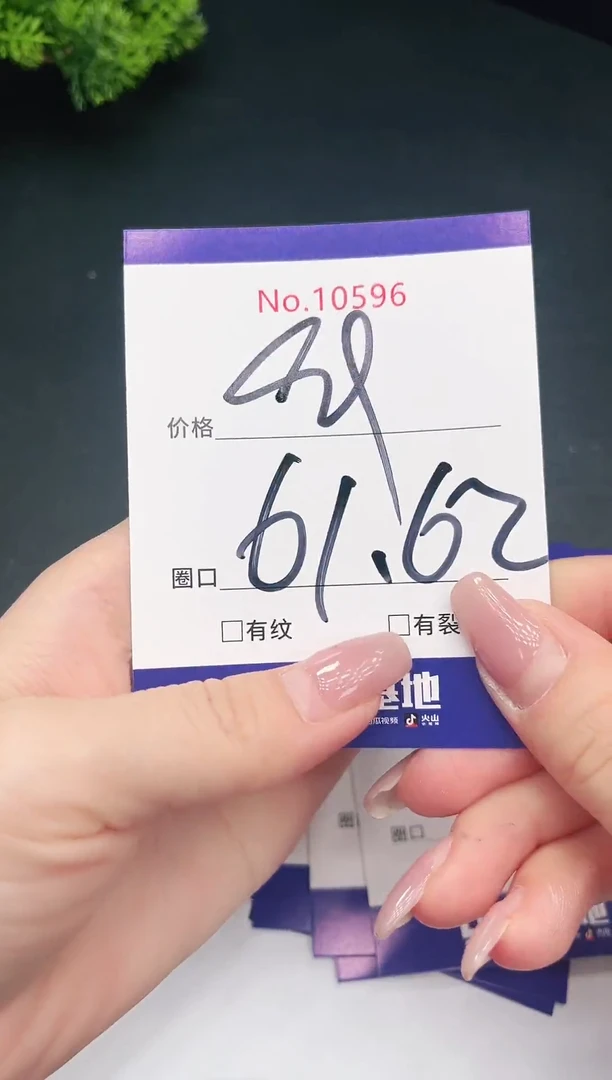 未镶嵌手镯翡翠10596