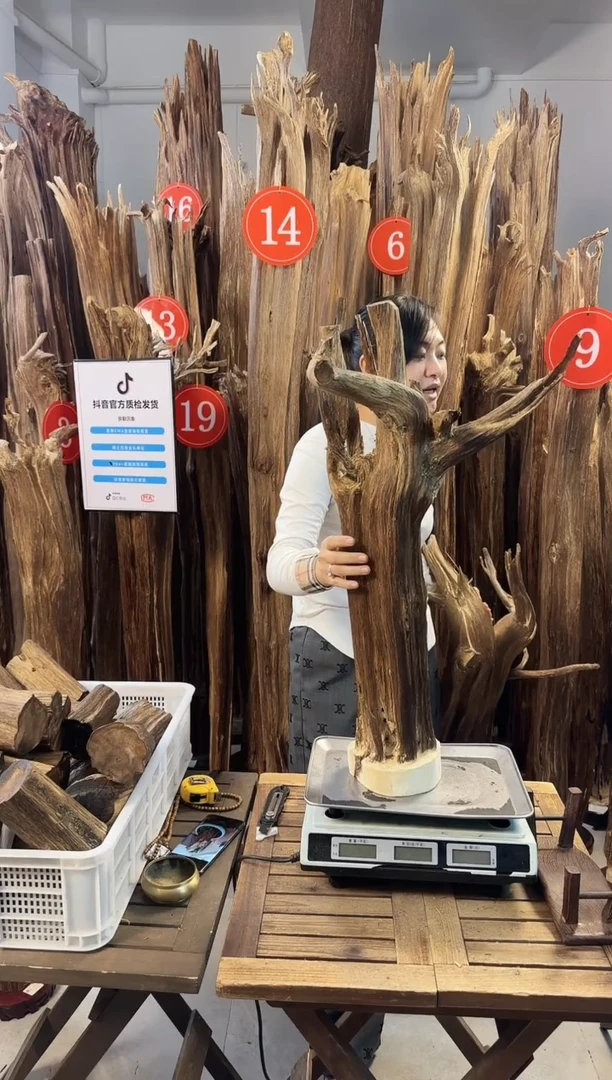 【闪购商品】沉香摆件沉香摆件多样性发一件62